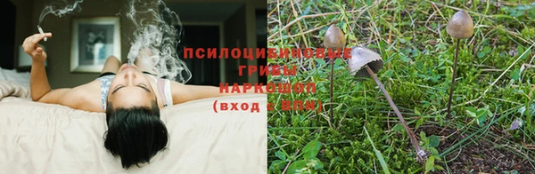 каннабис Алзамай