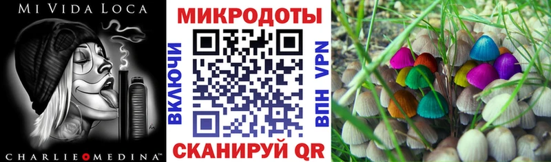 Псилоцибиновые грибы GOLDEN TEACHER  Калтан 